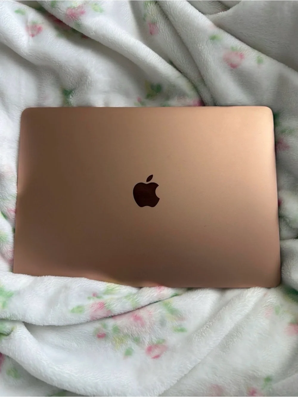 Apple 13